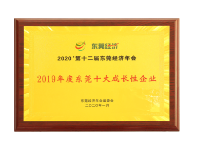 和樂(lè )電子雙喜臨門(mén)——2020東莞經(jīng)濟年會(huì )授予重磅級雙獎